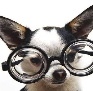 Meet your Posher, Tia